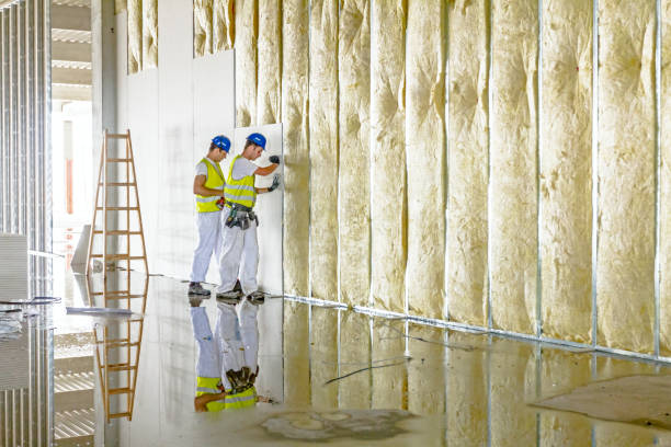 Types of Insulation We Offer in Maud, TX