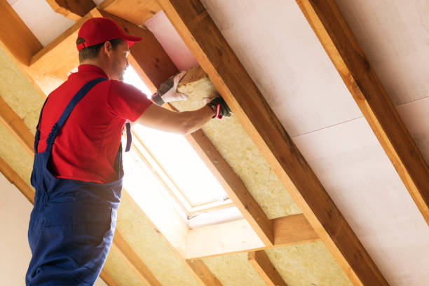 Best Attic Insulation Installation  in Maud, TX